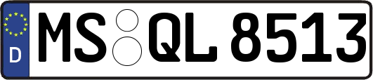 MS-QL8513