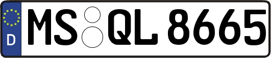 MS-QL8665