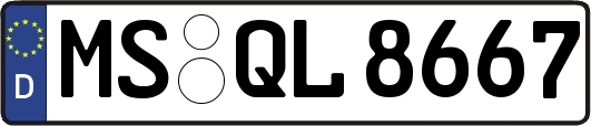 MS-QL8667