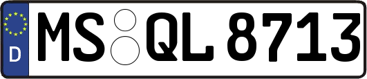 MS-QL8713