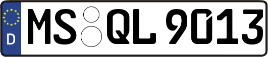 MS-QL9013