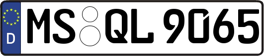 MS-QL9065