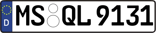 MS-QL9131