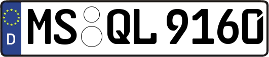 MS-QL9160