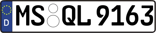 MS-QL9163