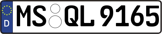 MS-QL9165