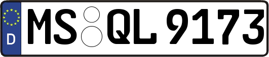 MS-QL9173