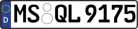 MS-QL9175