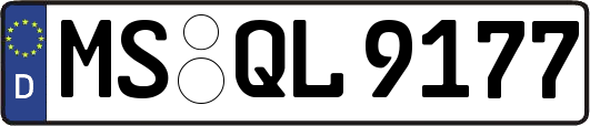 MS-QL9177