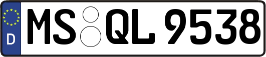 MS-QL9538