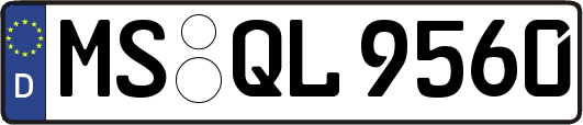 MS-QL9560