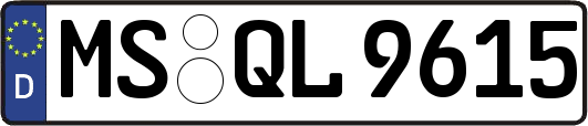 MS-QL9615