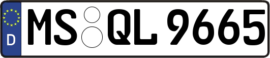MS-QL9665