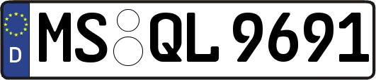 MS-QL9691