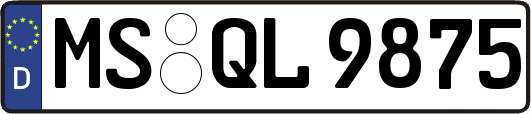 MS-QL9875
