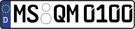 MS-QM0100