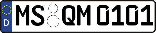 MS-QM0101