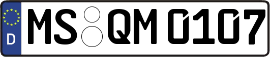 MS-QM0107