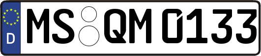 MS-QM0133