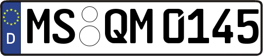 MS-QM0145