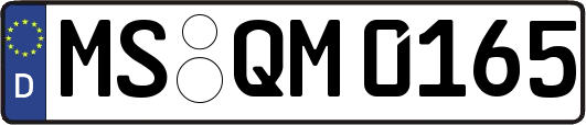 MS-QM0165