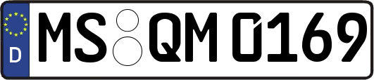 MS-QM0169