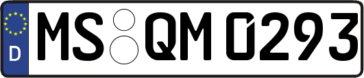 MS-QM0293