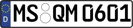 MS-QM0601