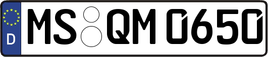 MS-QM0650