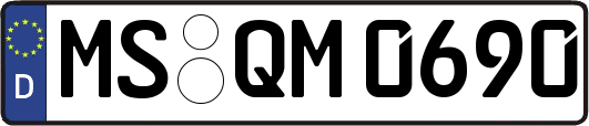 MS-QM0690