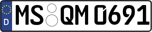MS-QM0691
