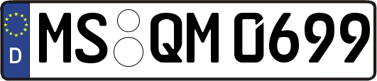 MS-QM0699