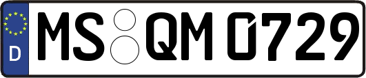 MS-QM0729