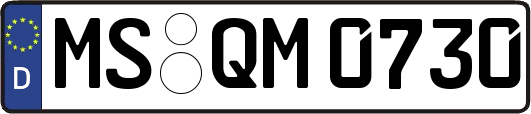 MS-QM0730