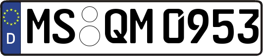 MS-QM0953