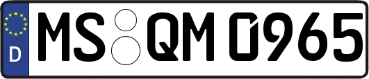 MS-QM0965