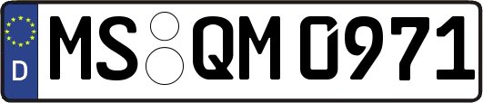 MS-QM0971