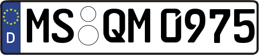 MS-QM0975