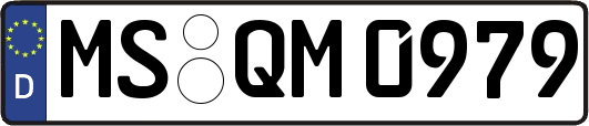 MS-QM0979