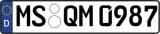 MS-QM0987