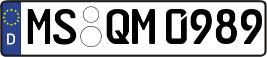 MS-QM0989