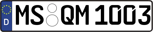 MS-QM1003
