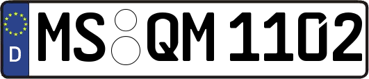 MS-QM1102