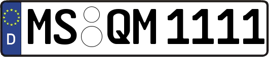 MS-QM1111