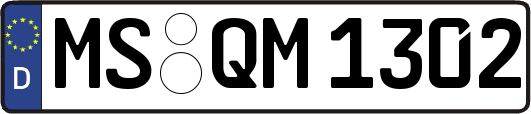 MS-QM1302
