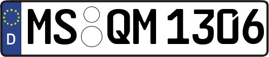 MS-QM1306
