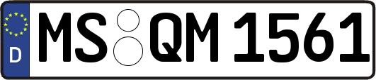 MS-QM1561