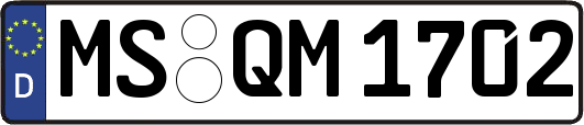 MS-QM1702