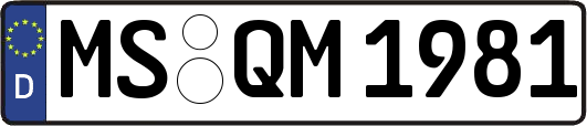 MS-QM1981