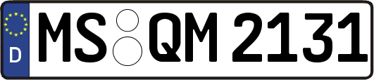 MS-QM2131